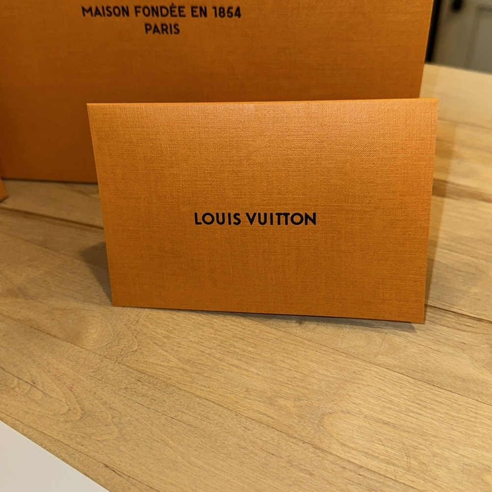 LOUIS VUITTON Beautiful Shopping Bags-Cards-Book - Picture 4 of 9